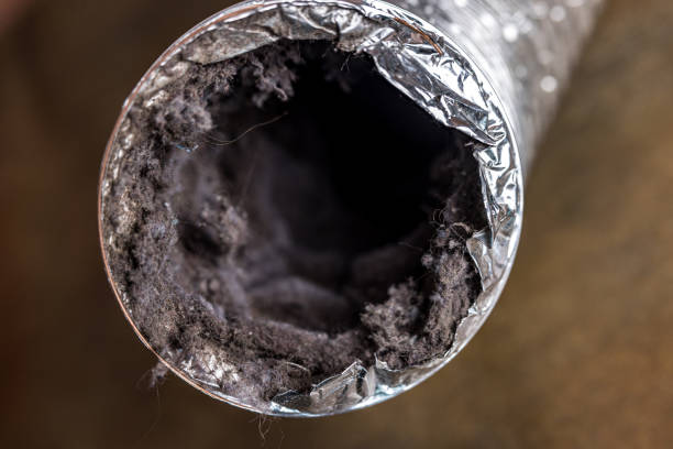 Best Air Duct Cleaning Near Me  in Clairton, PA